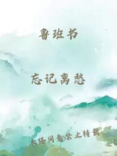鲁班书